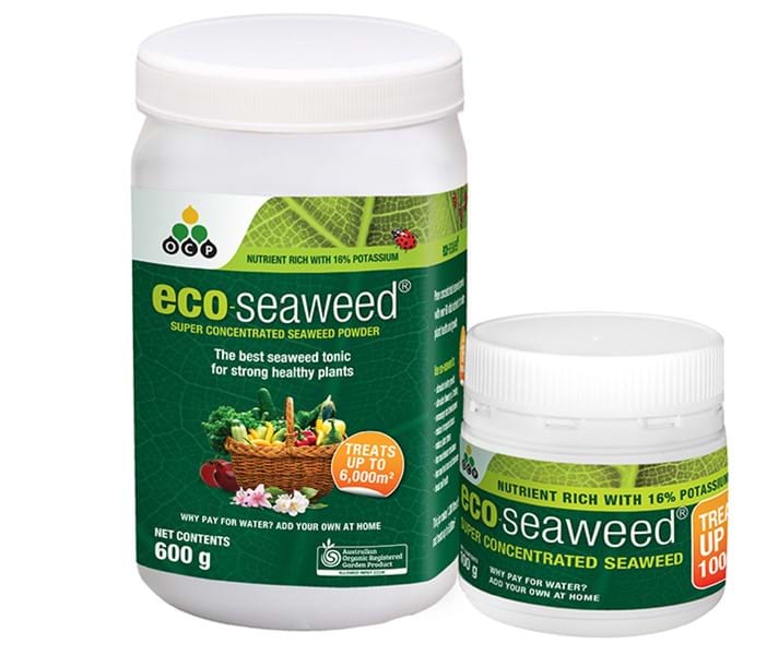 eco-seaweed