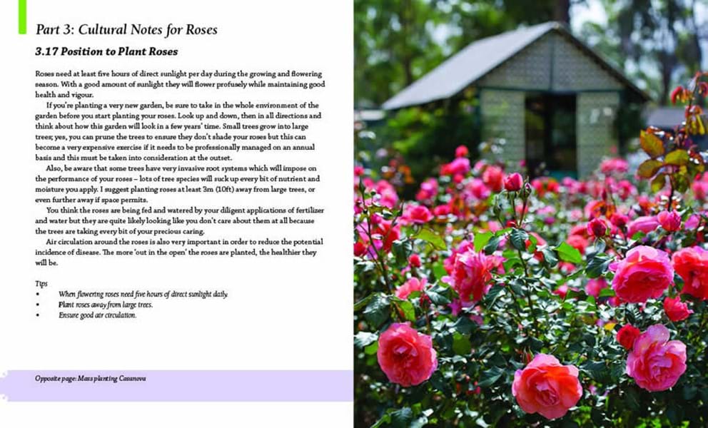 All About Roses by Diana Sargeant