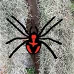 Halloween Spider Decoration