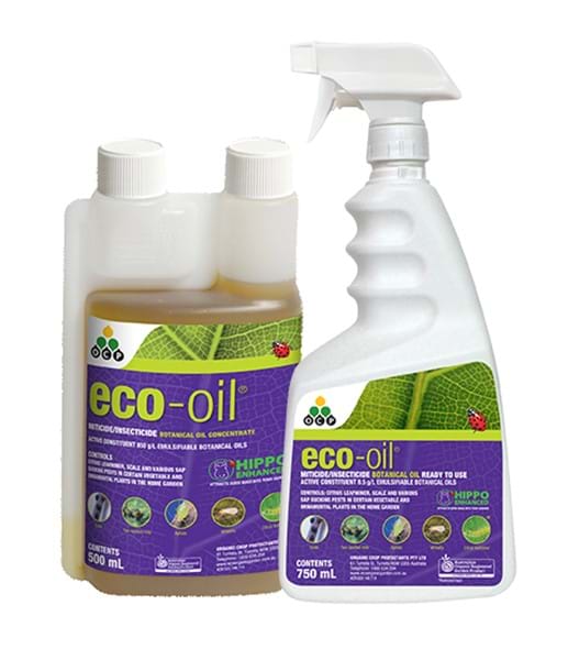 eco-oil